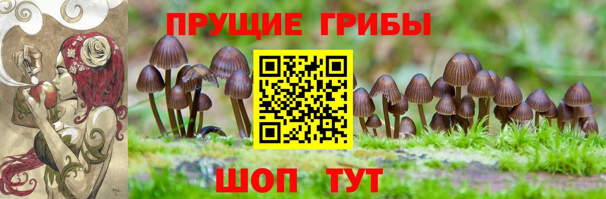 Галлюциногенные грибы мицелий  Вход с VPN  Выкса  Псилоцибиновые грибы мицелий 